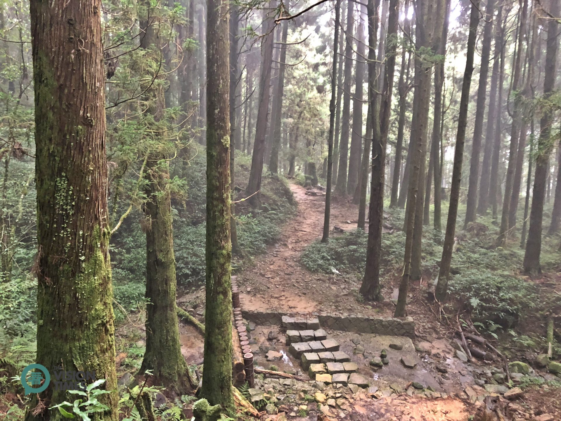 Hikers can get a sense of the true beauty of Alishan National Scenic Area. (Image: Julia Fu / Vision Times)