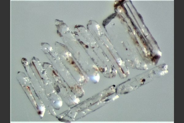 Microscope image of zircon crystals separated for U-Pb isotopic dating from the latest Permian ash bed at Penglaitan. (Image: Image: Shuzhong Shen)