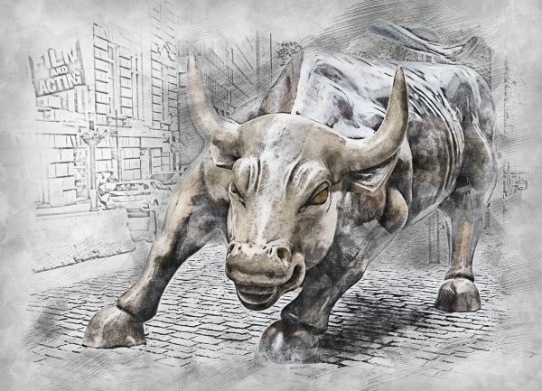 bull-3112617_1280