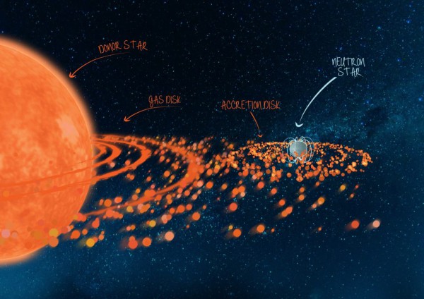 An artist’s impression of the binary system Swift J0243.6+6124. A binary system with a neutron star in a 27-day orbit and a more massive, rapidly-rotating donor star. The rapid rotation of the donor star throws off a disk of material around the stellar equator. As the neutron star passes through the disk during its orbit, it picks up some of this outflowing gas, which then spirals in towards the neutron star in an accretion disk. (Credit: ICRAR/University of Amsterdam)