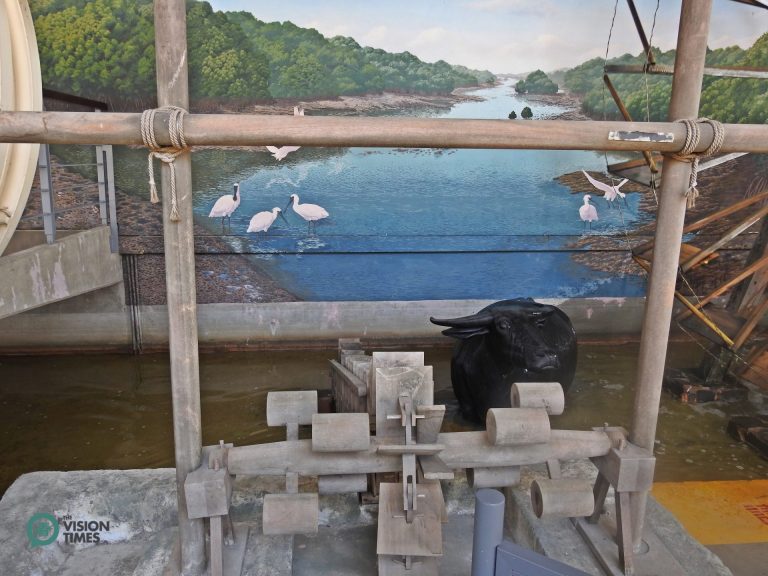 Dragon Bone Water Wheel and water buffalos are important to Taiwanese farmers in the old days. (Image: Billy Shyu / Nspirement)