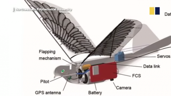 dovedrone