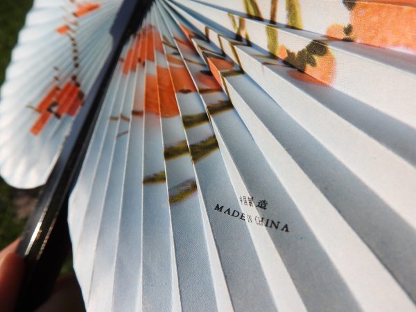 fan-876373_1280