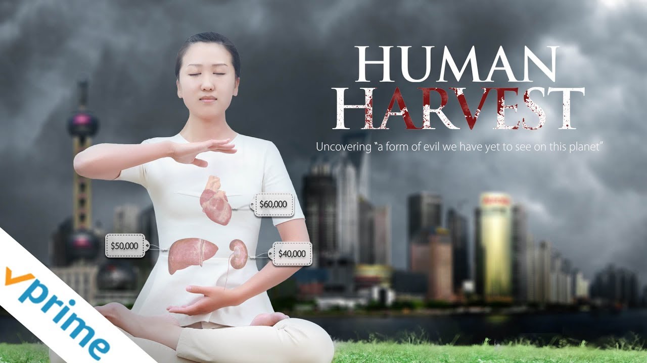 Public Hearings on China Organ Harvesting to be Held in London