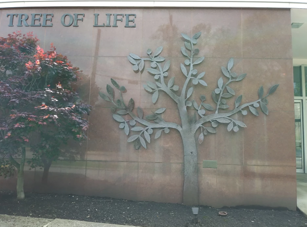 The Tree of Life Synagogue in Pittsburgh, PA. (Image: screenshot via the Tree of Life Synagogue website)