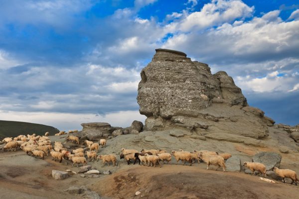 According to geologists, these rock formations are natural occurrences that have been formed due to the rocks being exposed to wind and water for thousands of years. (Image: romaniatourstore.com / CC0 1.0)