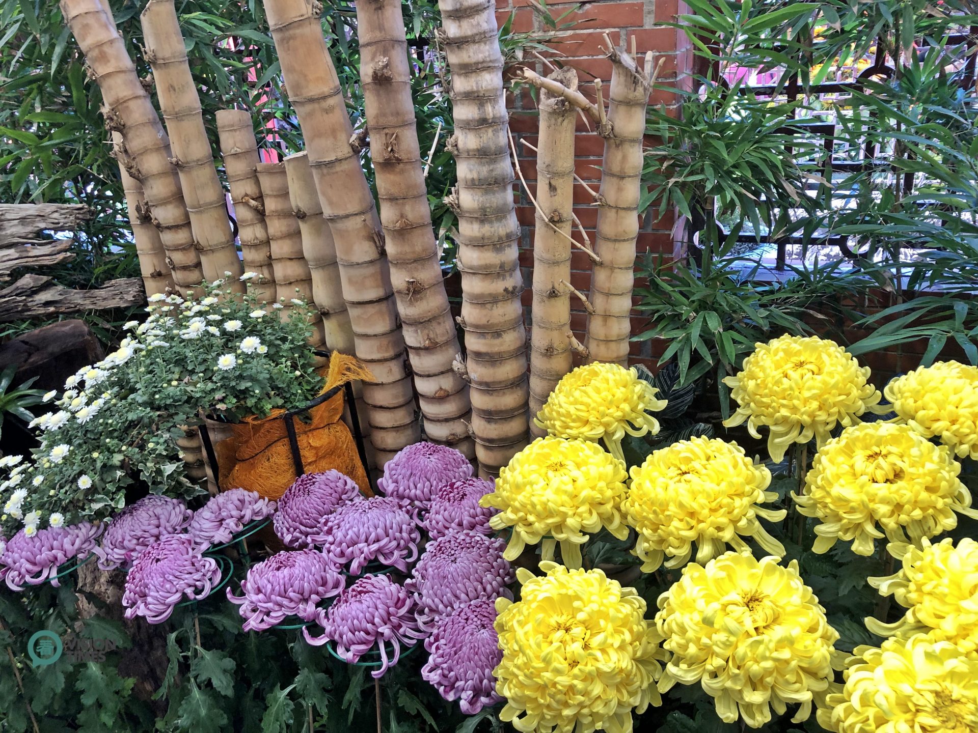 The Chrysanthemum Show allows visitors to have a new visual experience. (Image: Julia Fu / Vision Times)