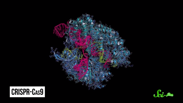 CRISPR_ A Gene-Editing Superpower 2-31 screenshot