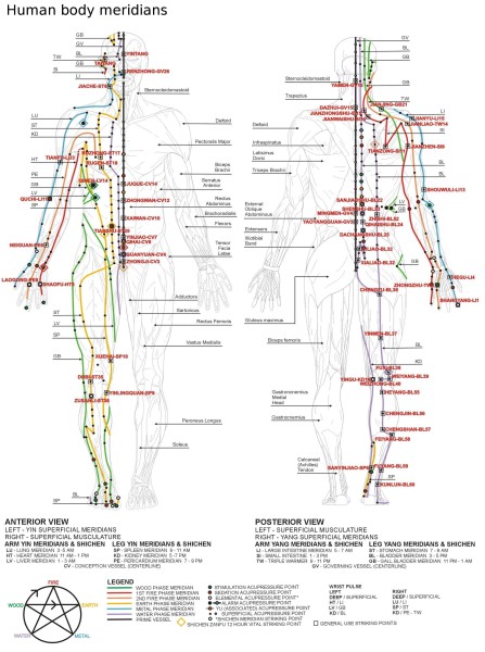 The large intestine meridian is one of the 12 main meridians running through the human body. (Image: wikimedia / CC0 1.0)