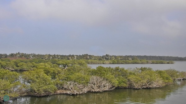 Aogu Wetland is designated the location for Aogu Wildlife Conservation Sanctuary. (Billy Shyu / Vision Times)