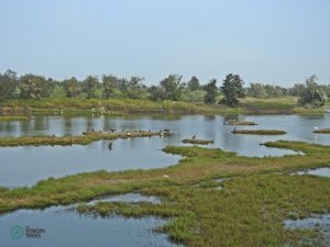 The Beigang Estuary.