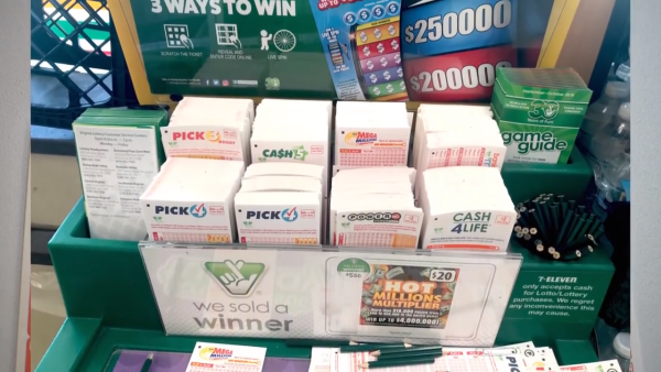 HOW TO PLAY MEGA MILLIONS AND POWERBALL LOTTERY - Drawings, Odds, Strategy 0-50 screenshot