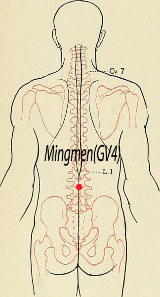 Mingmen (GV4), Acupuncture Point (Image Credit: Flickr, Public Domain /Hermann Rohr/Vision Times)