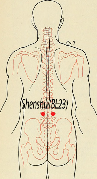 Shenshu BL23, Acupuncture Point (Image Credit: Flickr, Public Domain /Hermann Rohr/Vision Times)