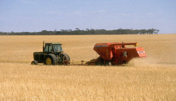 Australia expects grain exports to grow thanks in part to the CPTPP. (Image: CSIRO via wikimedia CC BY 3.0)