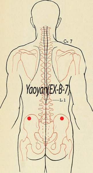 Yaoyan EX-B-7, Acupuncture Point (Image Credit: Flickr, Public Domain /Hermann Rohr/Vision Times)