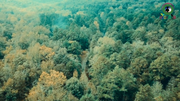 वृक्षमानव विश्वेश्वर दत्त सकलानी __ Tree Man __ Mountain Man of Uttarakhand __ Vishweshwar Datt Sakl 1-12 screenshot