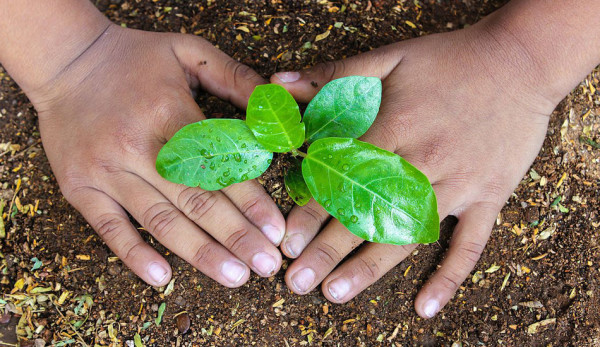Indian_Man_Who_Planted_5_Million_Trees_Is_Now_No_More1