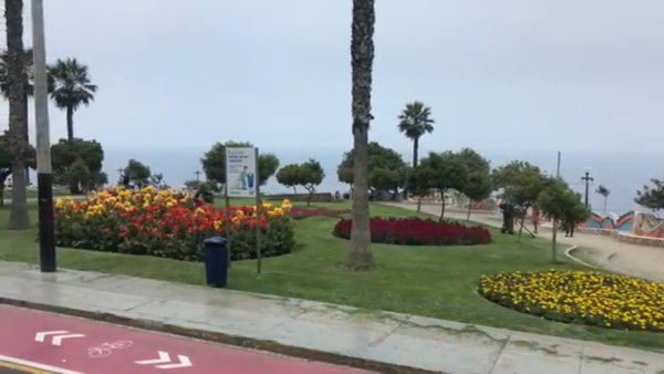 Mira Flores view of grass and flowers on a roadside by the ocean