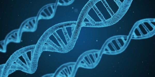 circulating DNA that cancer and other cells shed into the blood – have a shorter progression-free survival than patients with less cfDNA, and that cfDNA spikes in patients either at the time of or just before their disease progresses. (Image: pixabay / CC0 1.0)