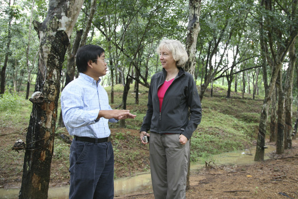Stanford biologist Gretchen Daily and study lead author Hua Zheng conduct research on a conventional plantation in Hainan, China. (Image: Zhiyun Ouyang)