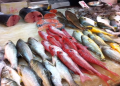 Food Safety in Hong Kong: Tuna With Loads of Mercury