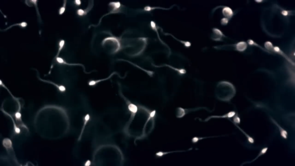 (Image: Screen Shot/ Youtube)