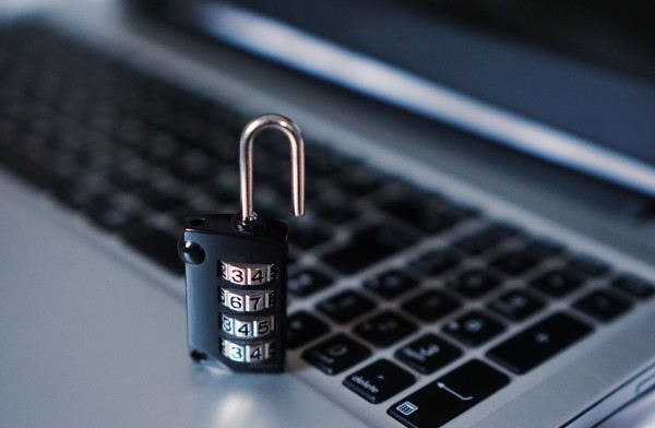 Geneva is a biologically inspired type of artificial intelligence that Levin and his team developed to work in the background as a user browses the web from a standard internet browser. (Image: pexels / CC0 1.0)