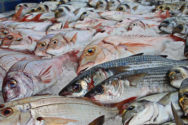 Eat more fish and less meat for health. (Image: via pixabay / CC0 1.0)