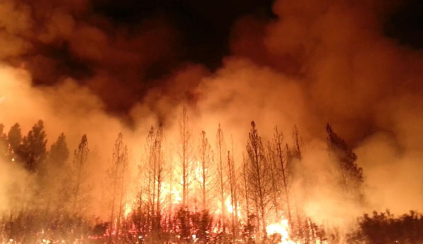 California saw one of the worst wildfires in 2018. (Image: wikimedia / CC0 1.0)