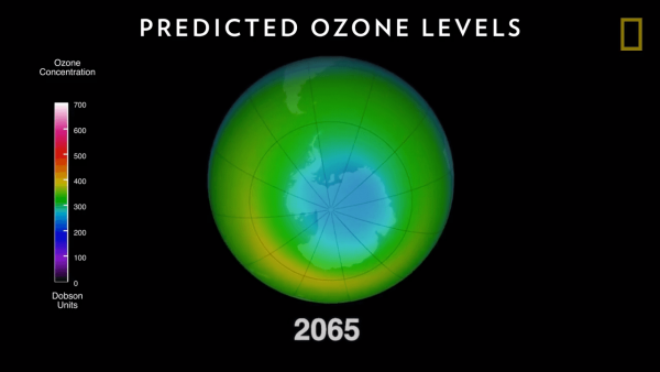 (Image: Screen Shot/ Youtube)