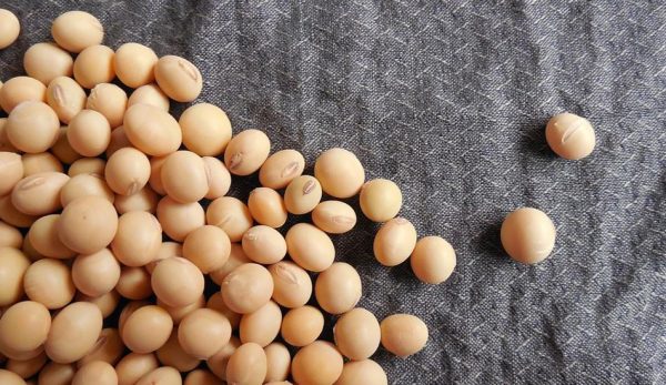 China has asked food producers and grain traders to procure higher volumes of soybeans. (Image: pixabay / CC0 1.0)