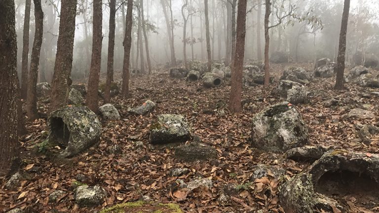 Megalithic jars in forest.