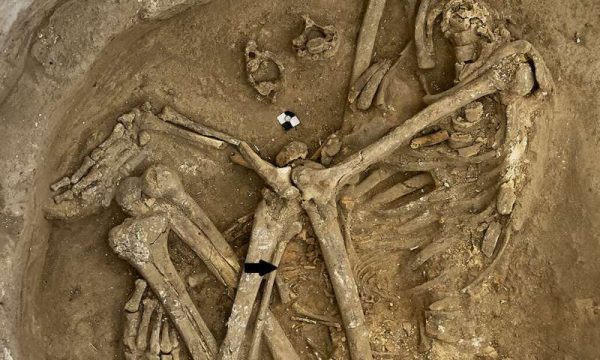 Neolithic burial from Çatalhöyük, Turkey, is represented by a headless young adult female with a fetal skeleton (arrow). Skull removal was a burial custom practiced in number of instances at this locality. (Image: the Çatalhöyük Research Project/Jason Quinlan)