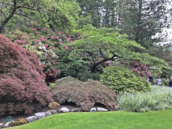 The Butchart Gardens is one of the absolute must visit places on Vancouver Island. (Image: Billy Shyu / Vision Times)