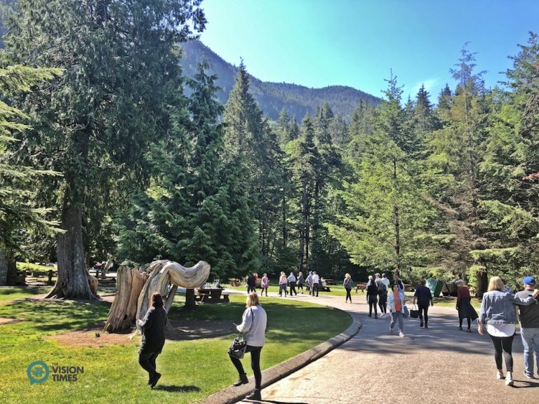 There are picnic facilities, playing fields and beautiful trails at the Shannon Falls Provincial Park.