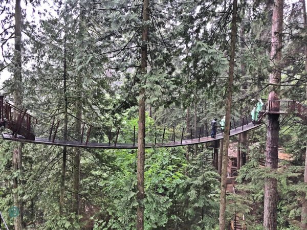 The Treetops Adventure is the first venue of its kind in North America. (Image: Billy Shyu / Vision Times)