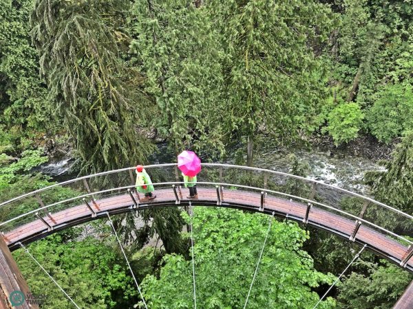 The U-shaped session of the breathtaking Cliffwalk in the Capilano Suspension Bridge Park. (Image: Billy Shyu / Vision Times)