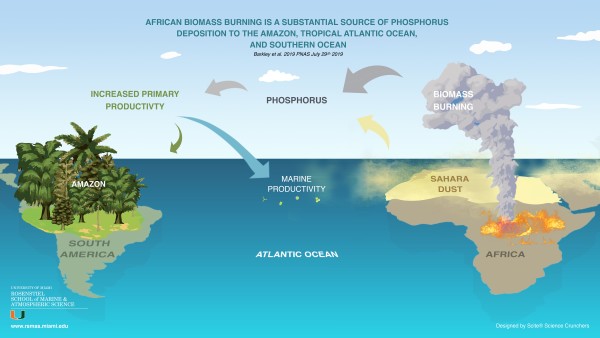 African biomass burning is affecting the Amazon.