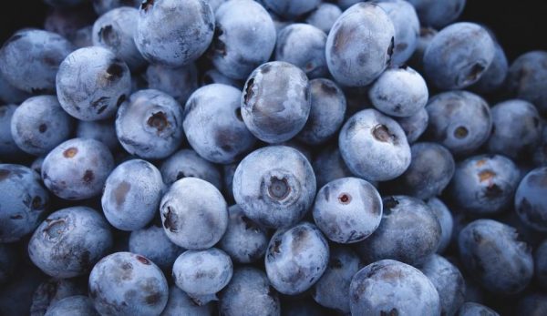 blueberries-690072_1280-950x550