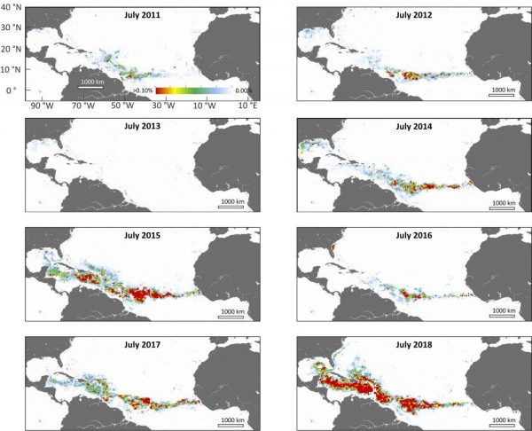 NASA’s satellite data (MODIS) confirms that the record-breaking seaweed belt forms in the summer months (northern hemisphere). 2015 and 2018 had the biggest of the massive blooms that started in 2011. (Image: USF College of Marine Science)