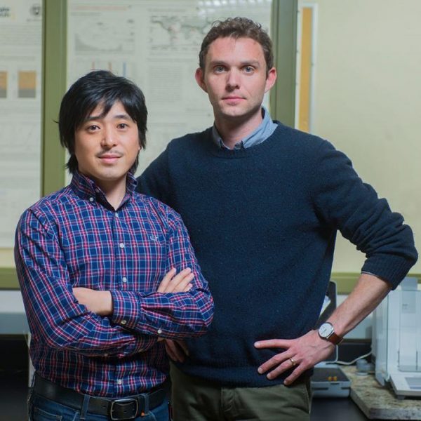 Photosynthesizers using water, which releases oxygen, could not compete with those using iron. (Image: Georgia Institute of Technology)