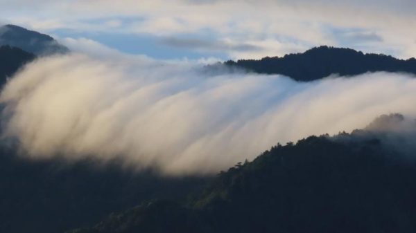 (Image: Jiahong Su)