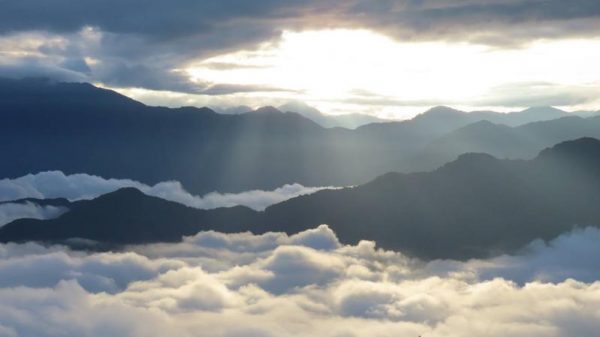 (Image: Jiahong Su)