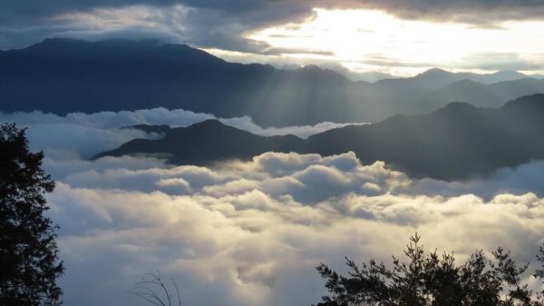 (Image: Jiahong Su)