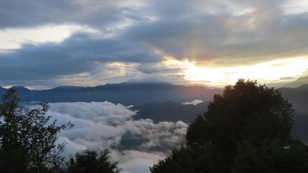 (Image: Jiahong Su)