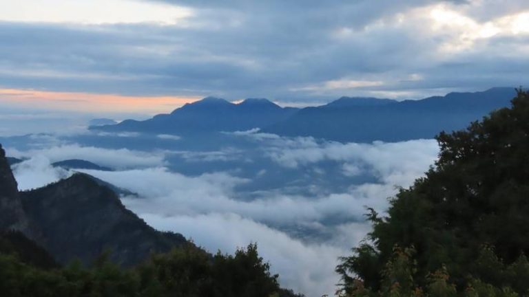 (Image: Jiahong Su)