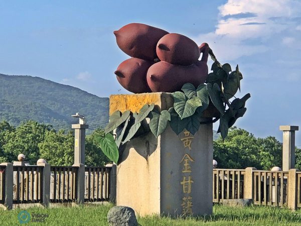 Jinshan is home to best sweet potatoes in Taiwan. (Image: Billy Shyu / Vision Times)
