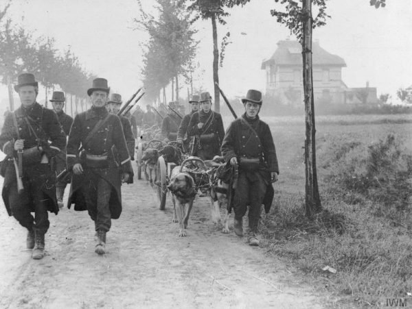 Belgian troops, with machine-guns pulled by dogs, photographed during the Battle of the Frontiers. (Image: wikimedia / CC0 1.0)