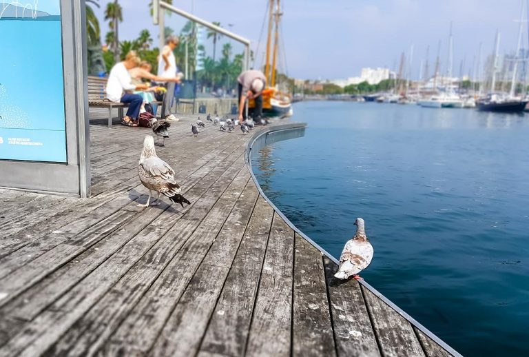 Children who frequently traveled with their parents also tended to retain the happy memories of the trips and remember them all through their lives.